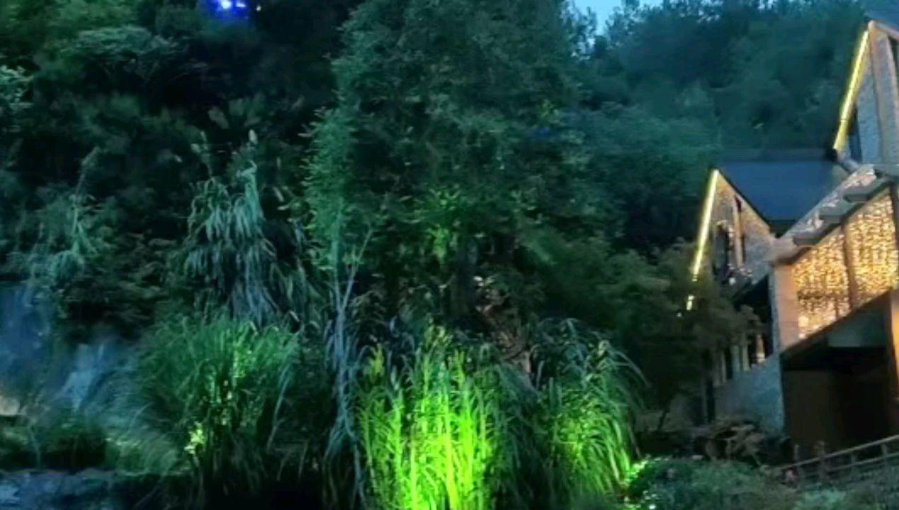 海底世界填颜色5